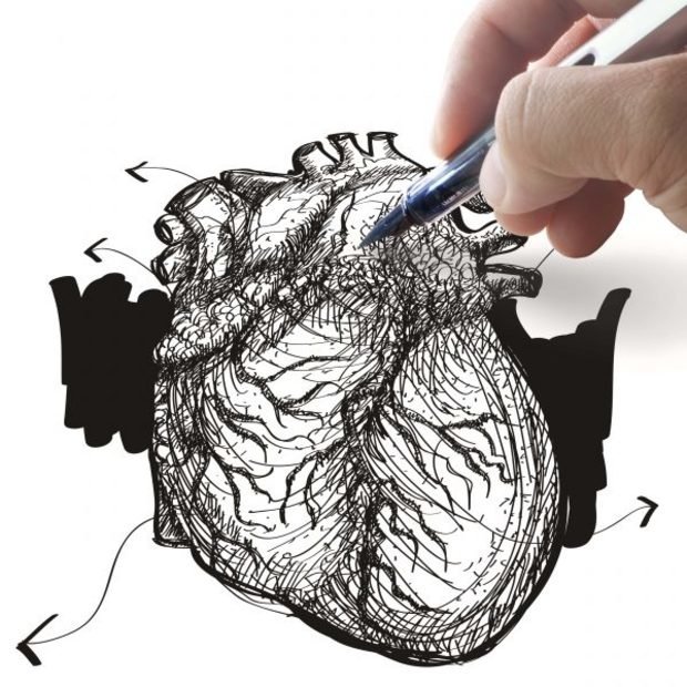 Global Prosthetic Heart Valve/Artificial Heart Valve