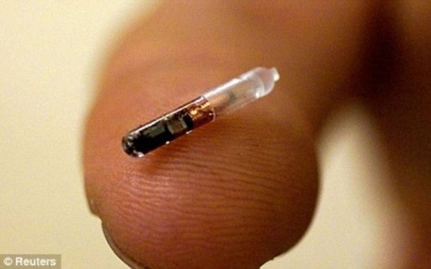 Biochips Market