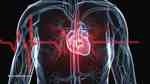 Balsha Medical Alexandria