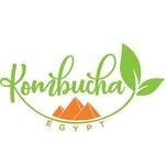 Kombucha Egypt