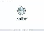 SHANDONG KALIOR TRADE COMPANY