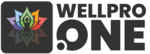 Wellpro
