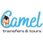 Camel Transfers & Daily Tours