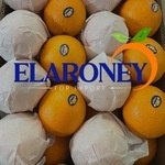 Elaroney for export