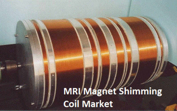 MRI Magnet Shimming Coil Market Research Sales,Forecast,Regional,Trends and  Analysis in 2022