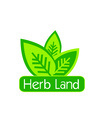 Herb Land  | 6th Of October 