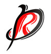 Dreadmoad Trading Limited | Qingdao