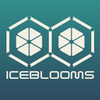 Ice Blooms | Cairo