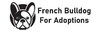 French Bulldogs For Adoption | Santa Ana, CA