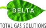 Delta Group Gases