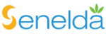 Senelda - Leading IT Academy Training in Chennai