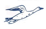 Egyptian German Co. for Textile Fibers